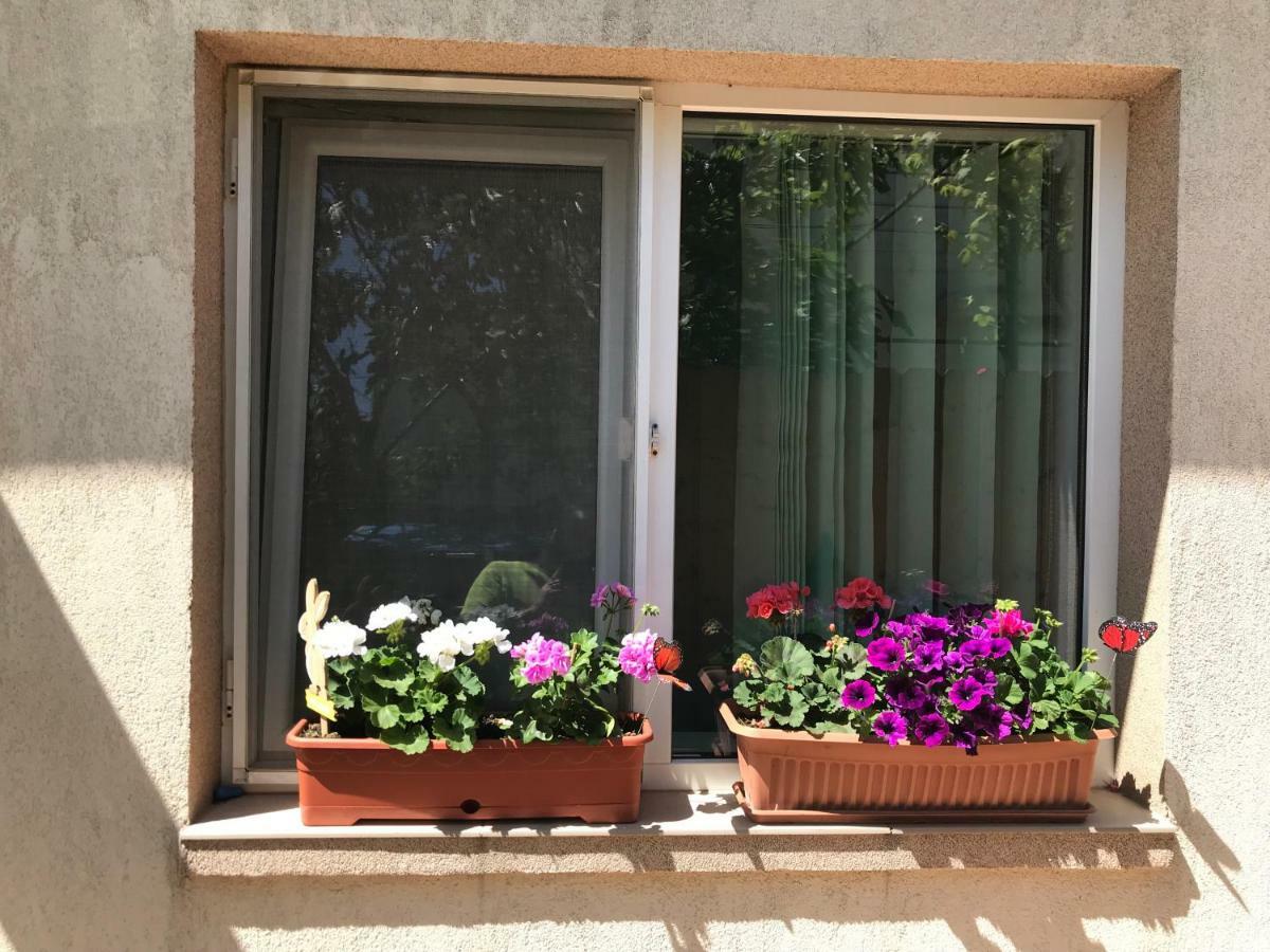 Black Sea House Apartment Constanta Ngoại thất bức ảnh